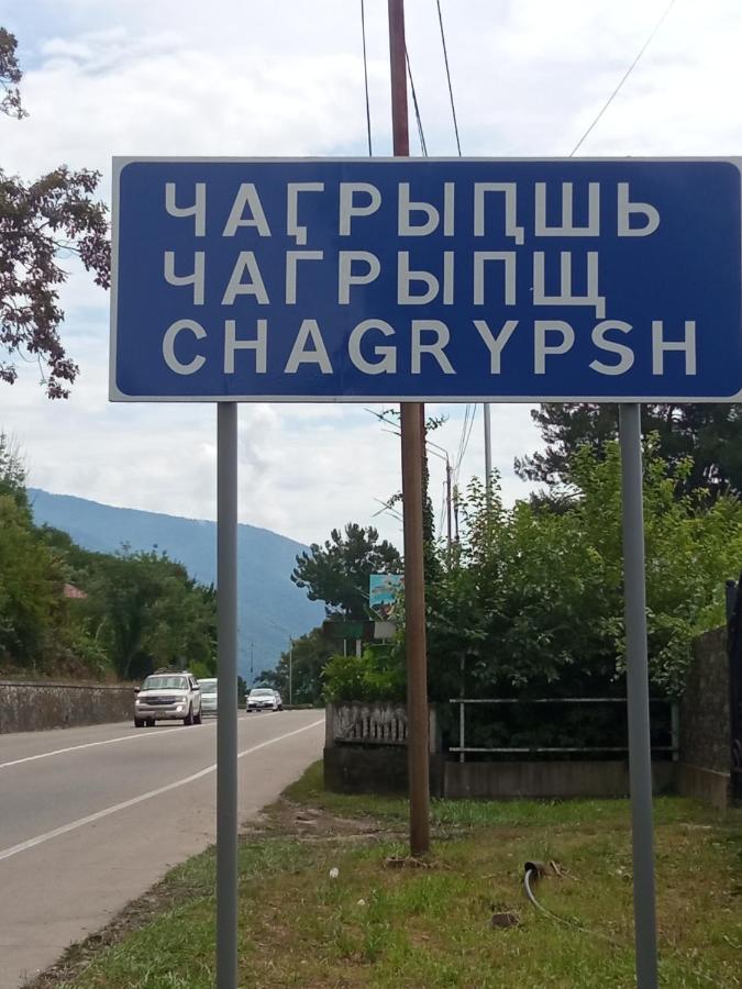 Гостевой Дом Мимоза Gagry Zewnętrze zdjęcie